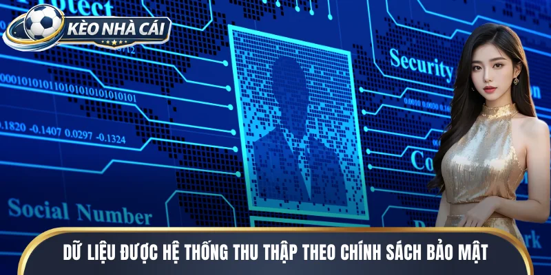 Dữ liệu được hệ thống thu thập theo chính sách bảo mật