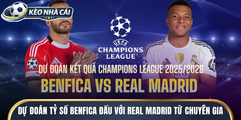 Dự đoán tỷ số benfica đấu với real madrid từ chuyên gia