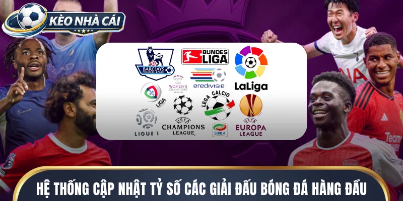 Hệ thống cập nhật tỷ số các giải đấu bóng đá hàng đầu