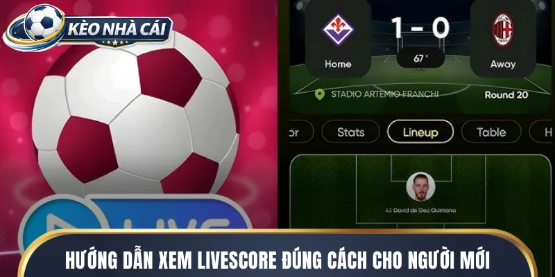 Hướng dẫn xem livescore đúng cách cho người mới