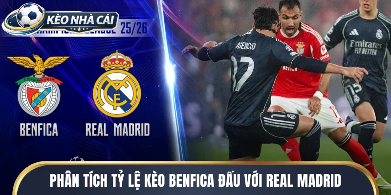 Phân tích tỷ lệ kèo benfica đấu với real madrid