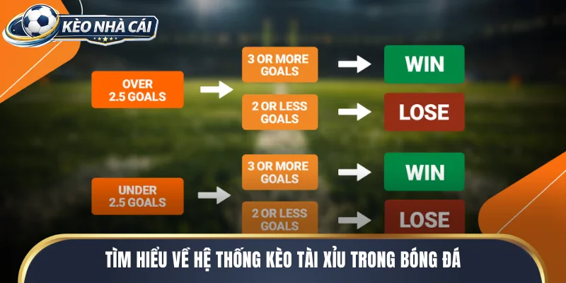 Tìm hiểu về hệ thống kèo tài xỉu trong bóng đá