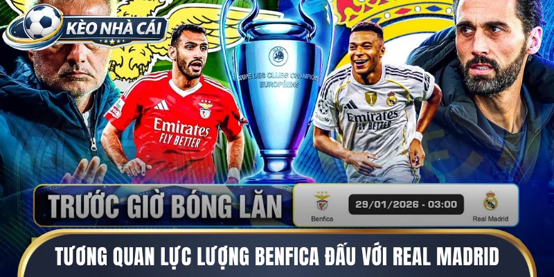 Tương quan lực lượng benfica đấu với real madrid