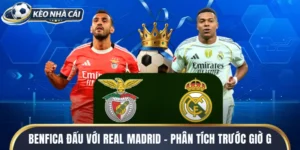 Benfica Đấu Với Real Madrid 2026 - Phân Tích Trước Giờ G