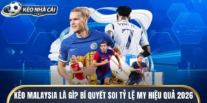 Kèo Malaysia Là Gì? Bí Quyết Soi Tỷ Lệ MY Hiệu Quả 2026